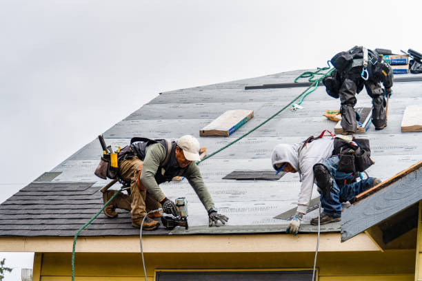 Professional Storm Damage Roof Repair technician working in Winthrop, IA